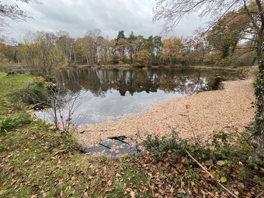 Stockbridge Pond