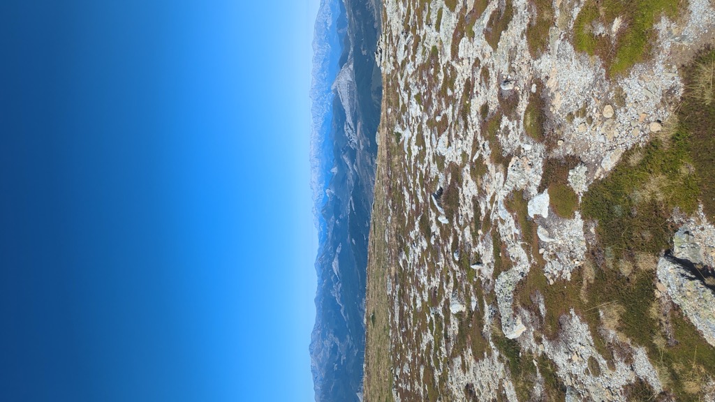 Valdecebollas