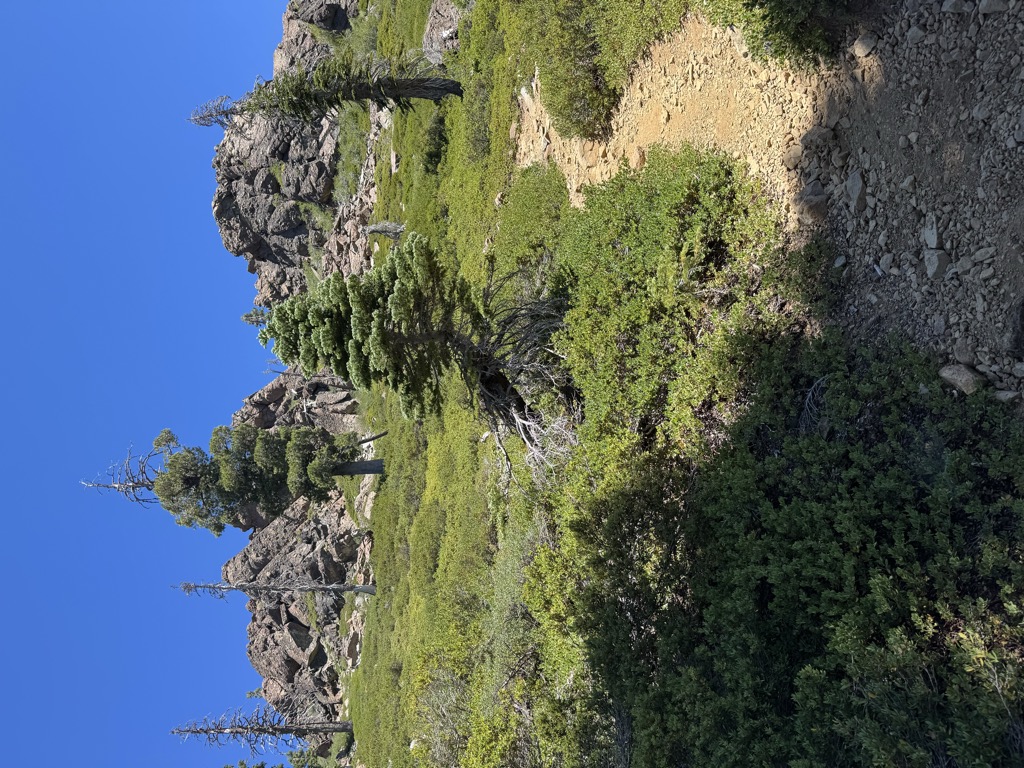 Mount Elwell