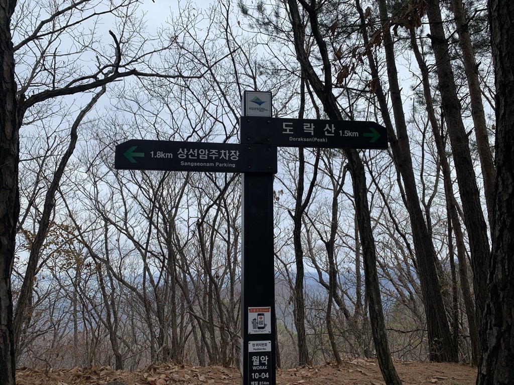Jebong
