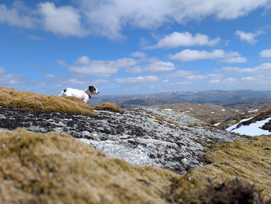 Vardefjell