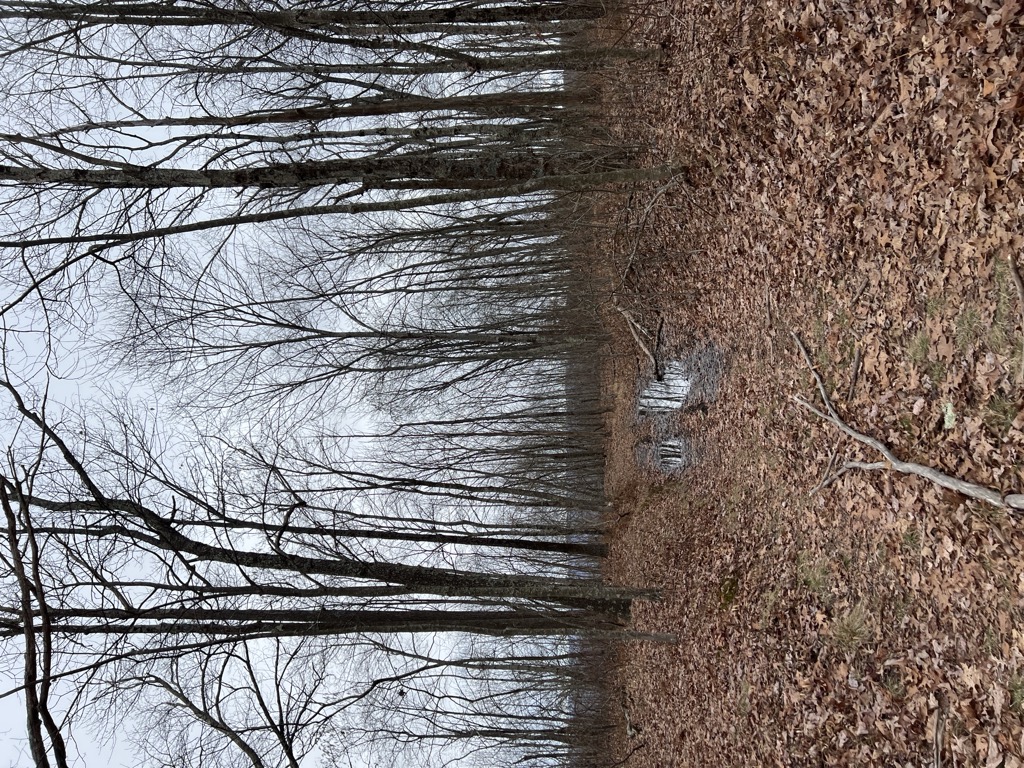 The Garden Spot