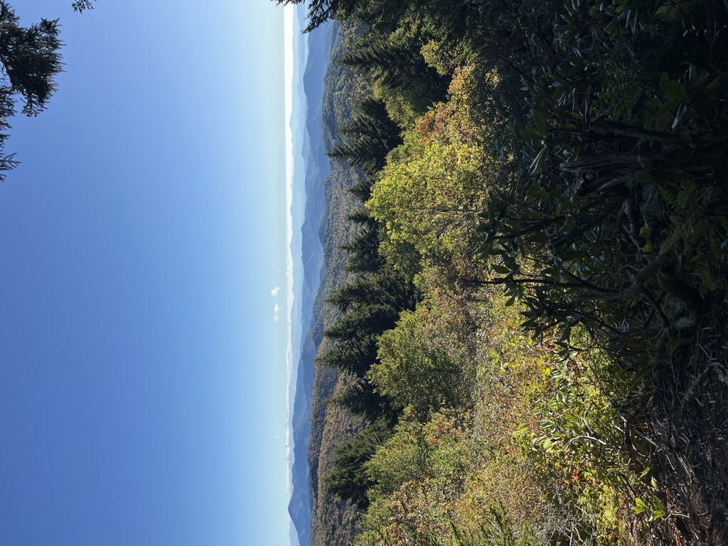 Daniel Ridge