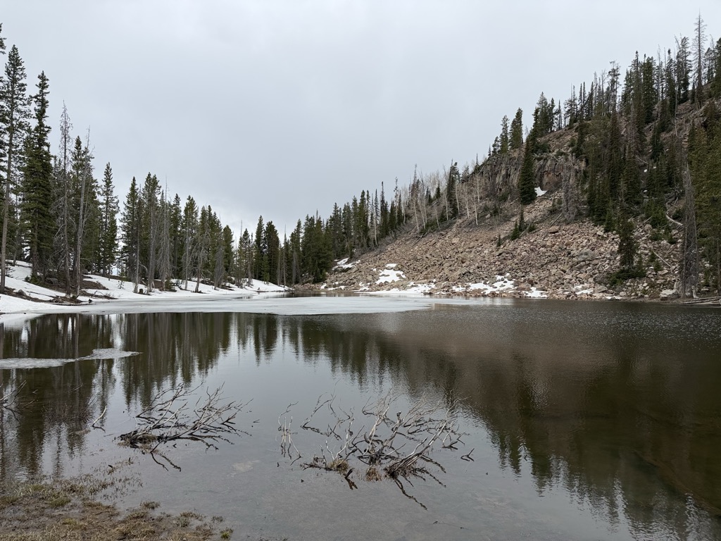Lower Yellow Pine Lake