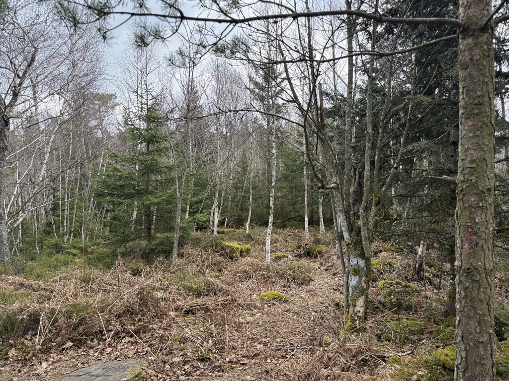 Rocher de la Petite Fée