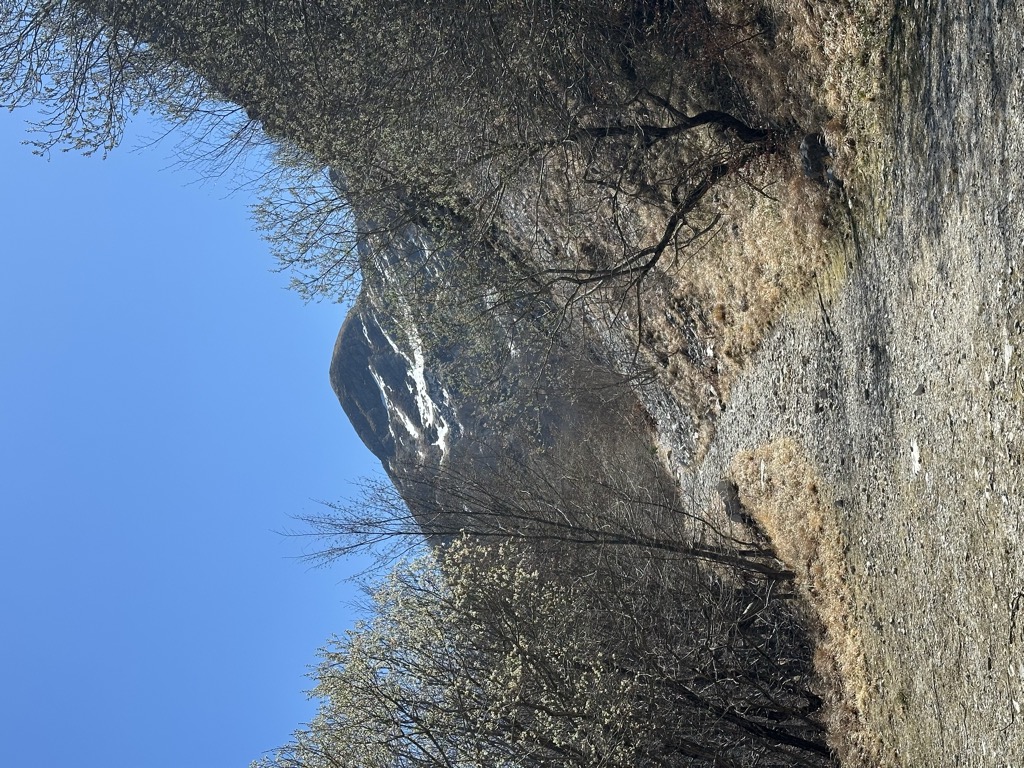 Fociomboli
