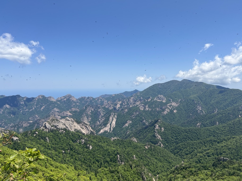 Gwiddegicheongbong