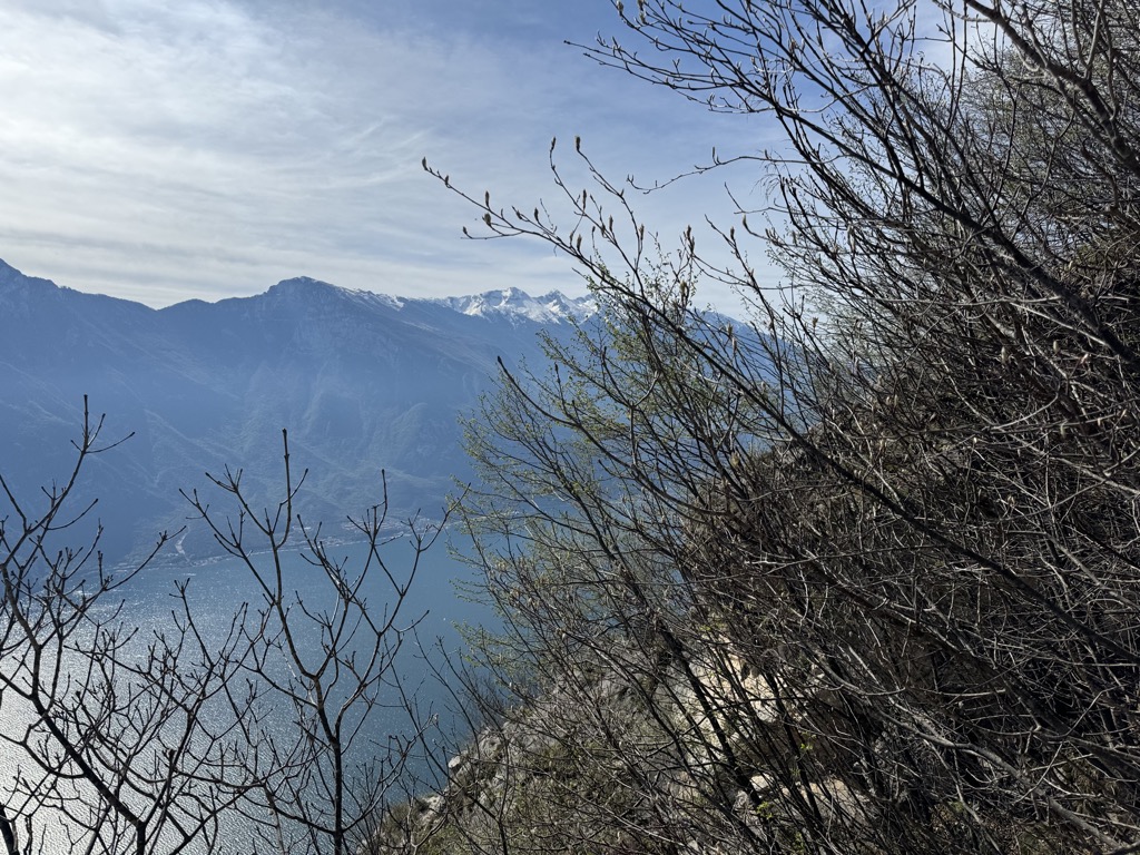Punta Larici