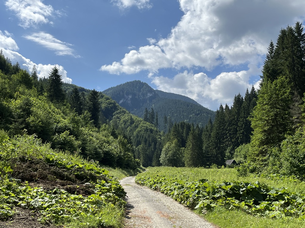 Brestová