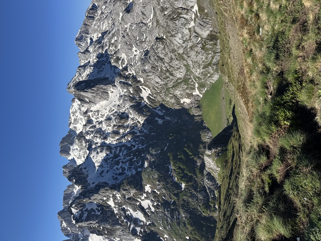 Talijanka/Maja e Vajushës