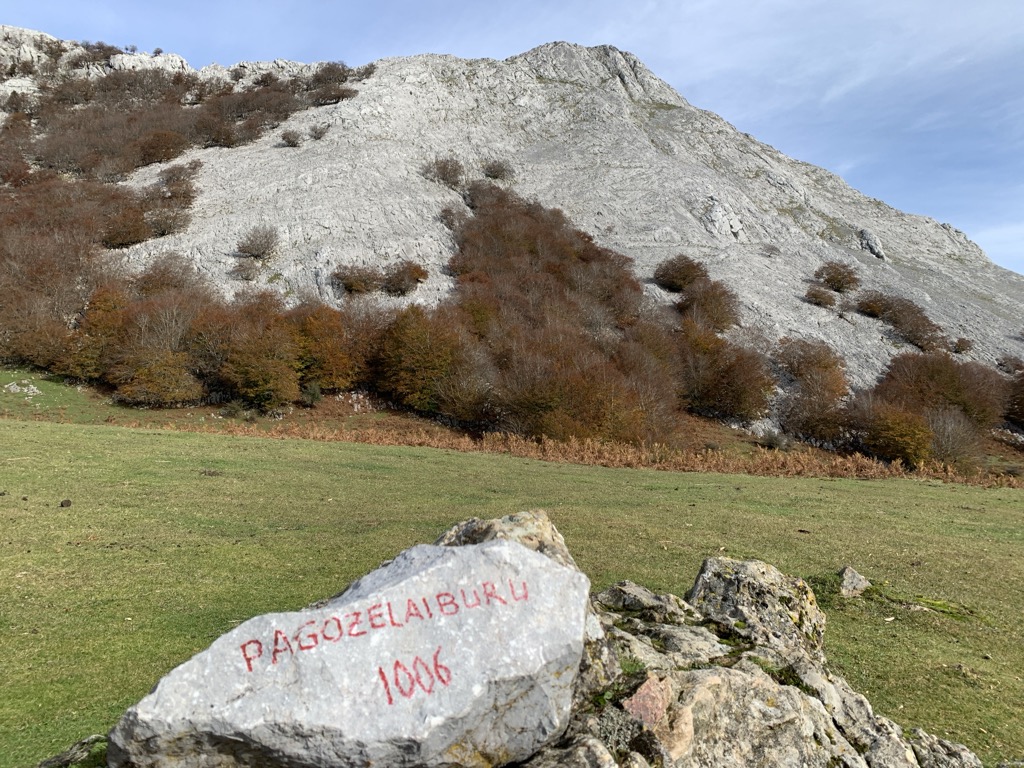 Pagazelaiburu