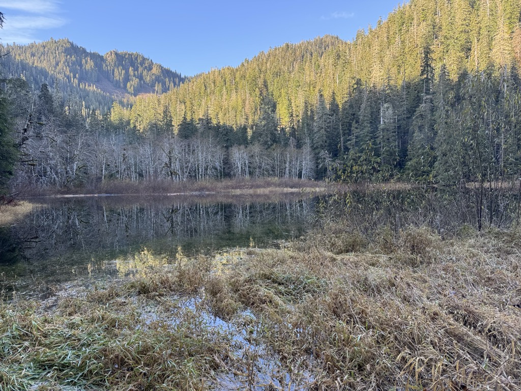 Pine Lake