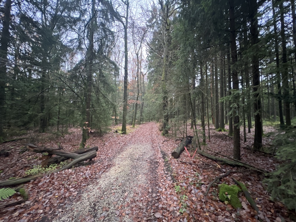 Bargauer Horn