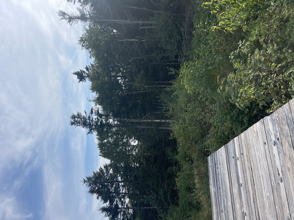 Wakely Mountain