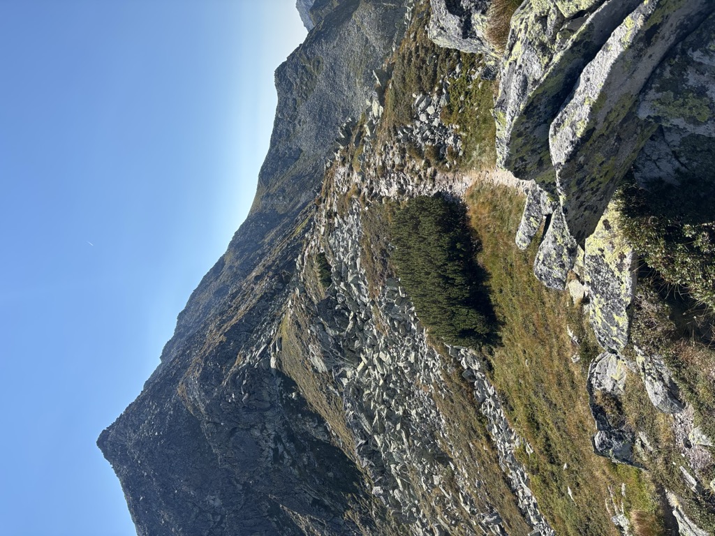 Saua Iarna