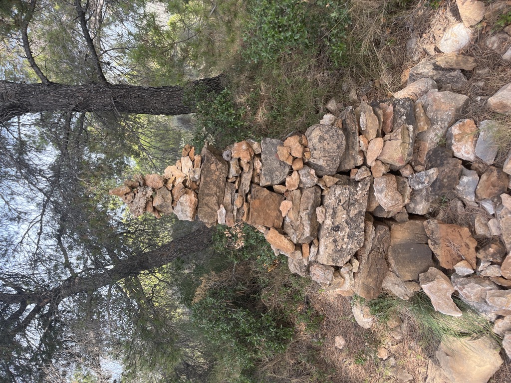 El Reixo