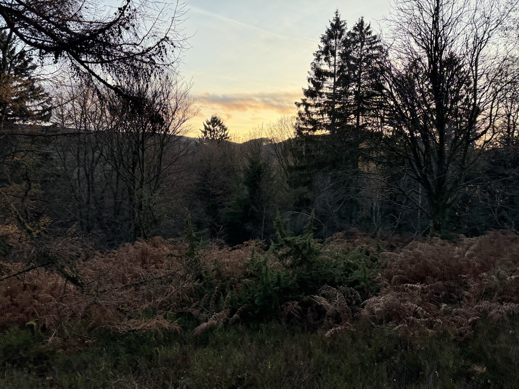 Bärenstein