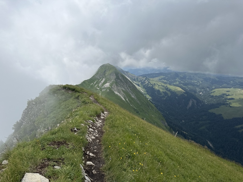 Schnierenhireli