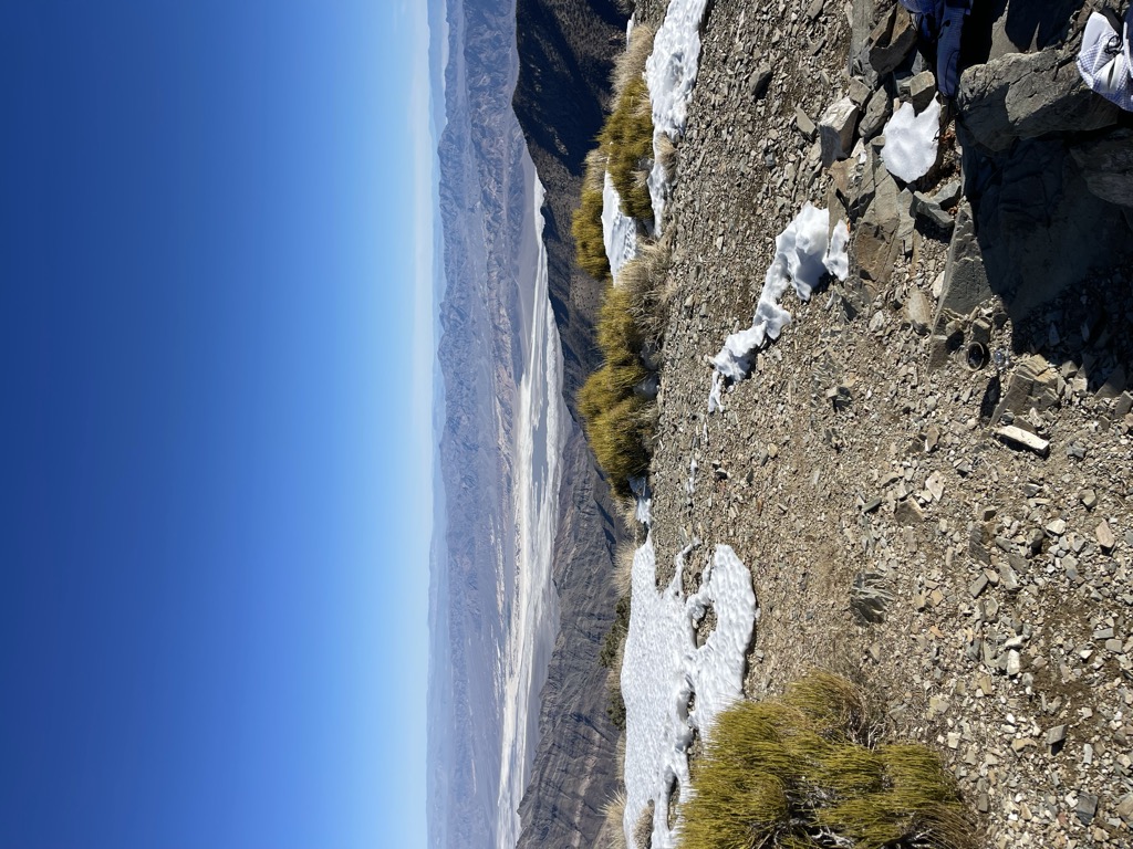 Wildrose Peak