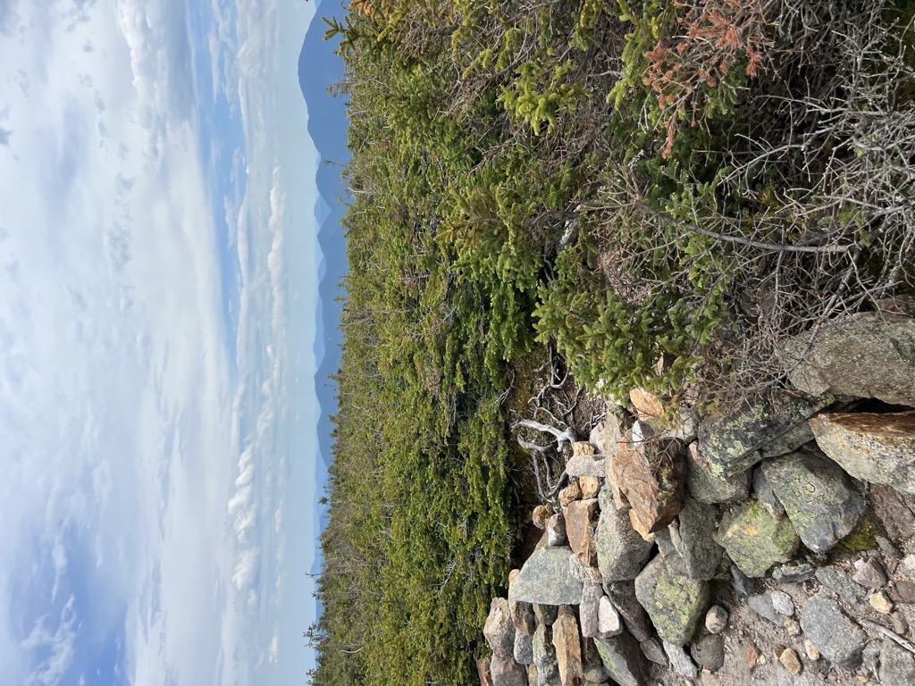Mount Guyot