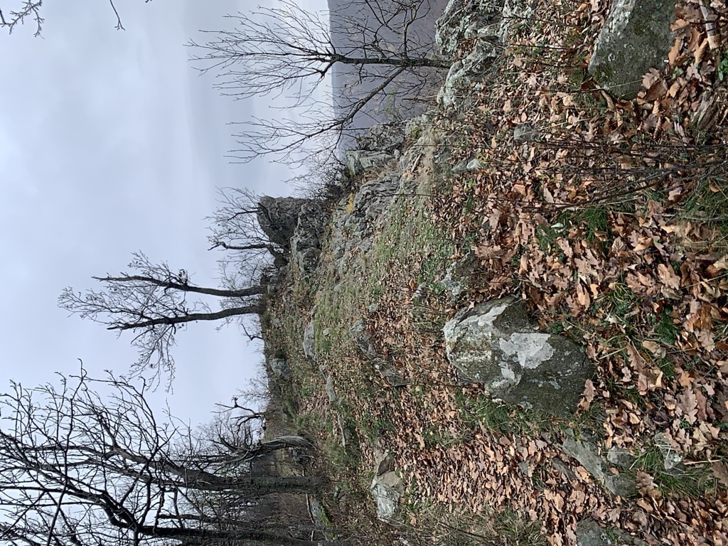 Nagy-Mána