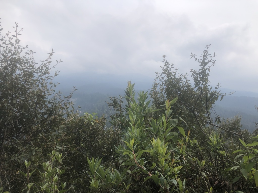 Cerro El Mirador