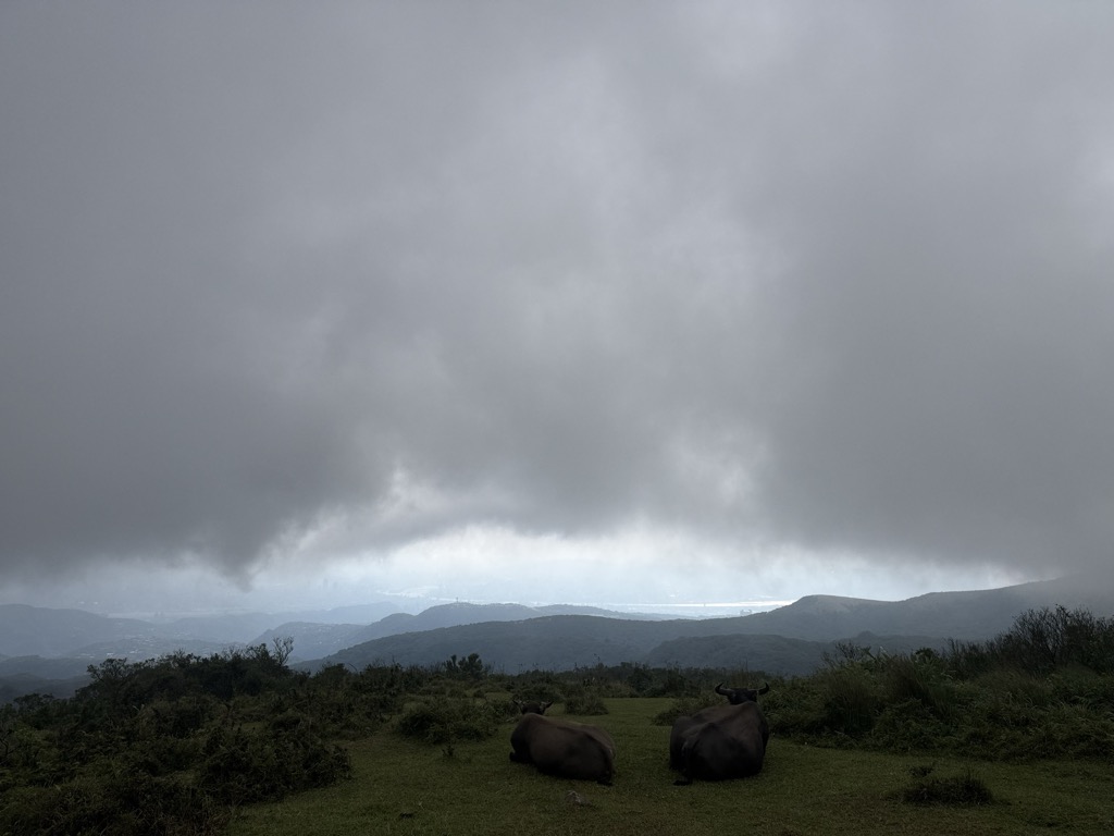 Mt. Shiti