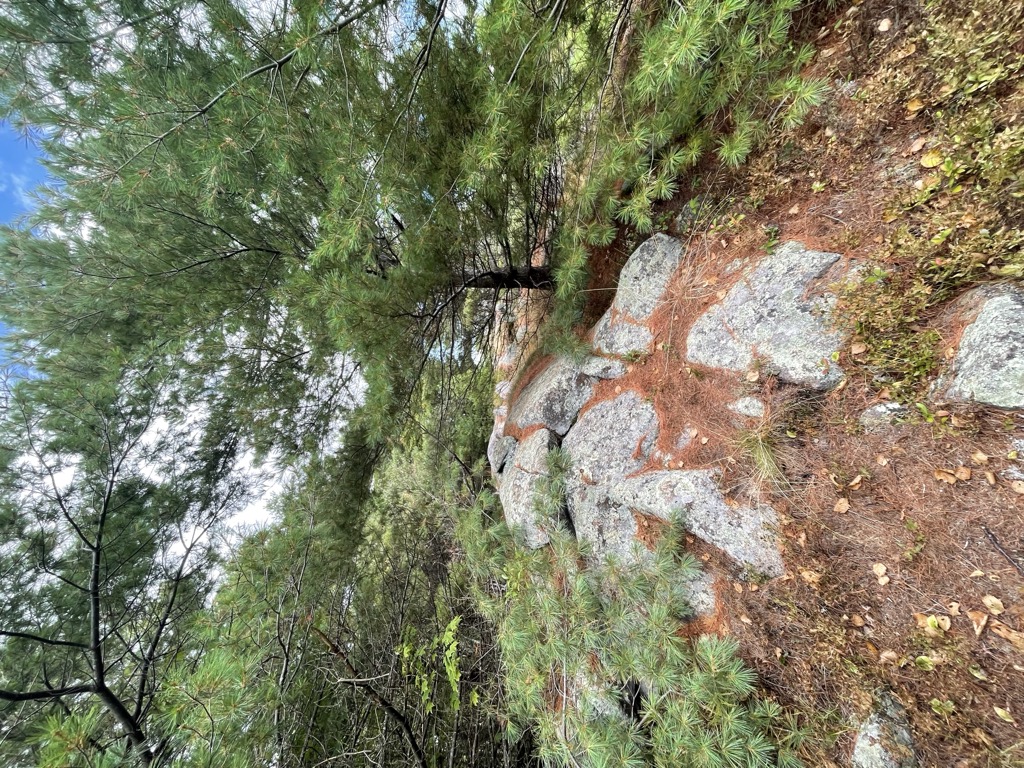 Fivemile Mountain