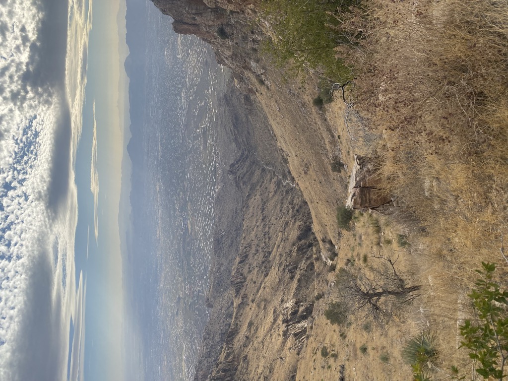 Linda Vista Saddle