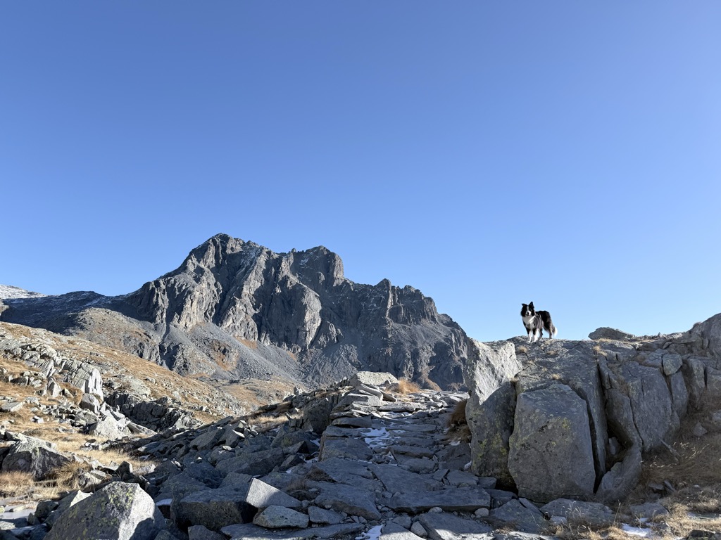 Passo della Vacca