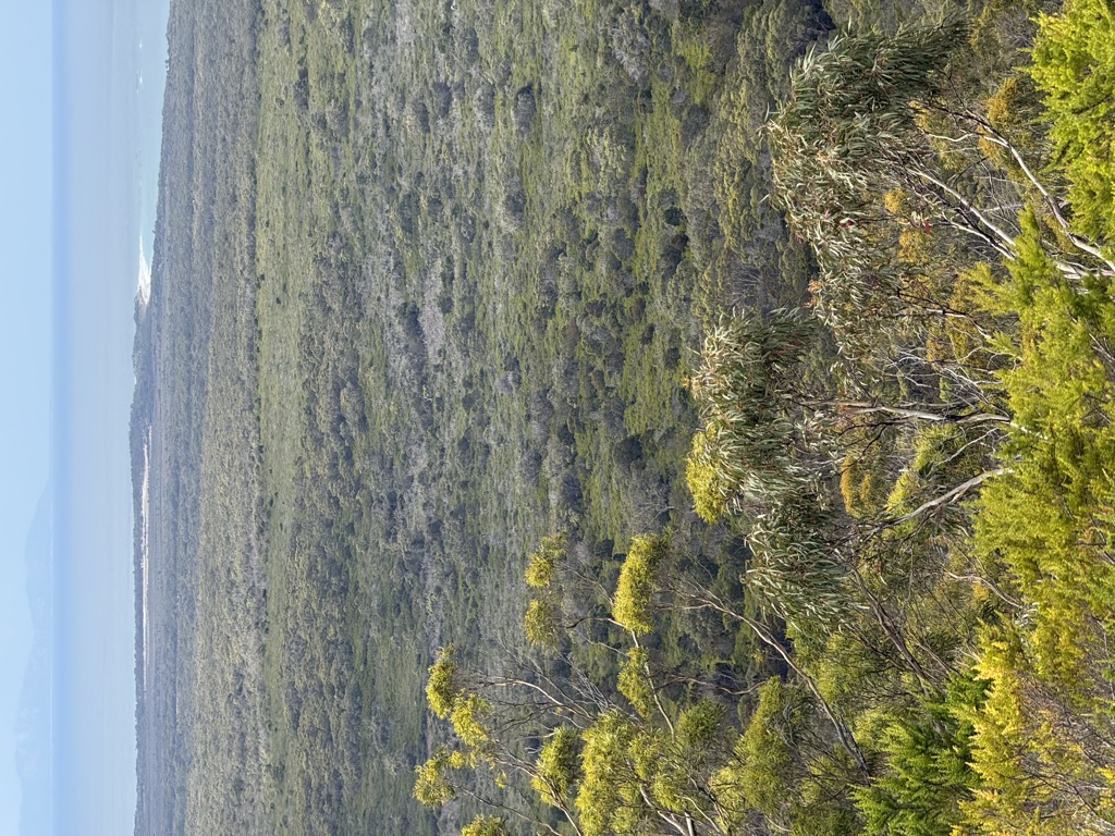 Wukalina / Mount William