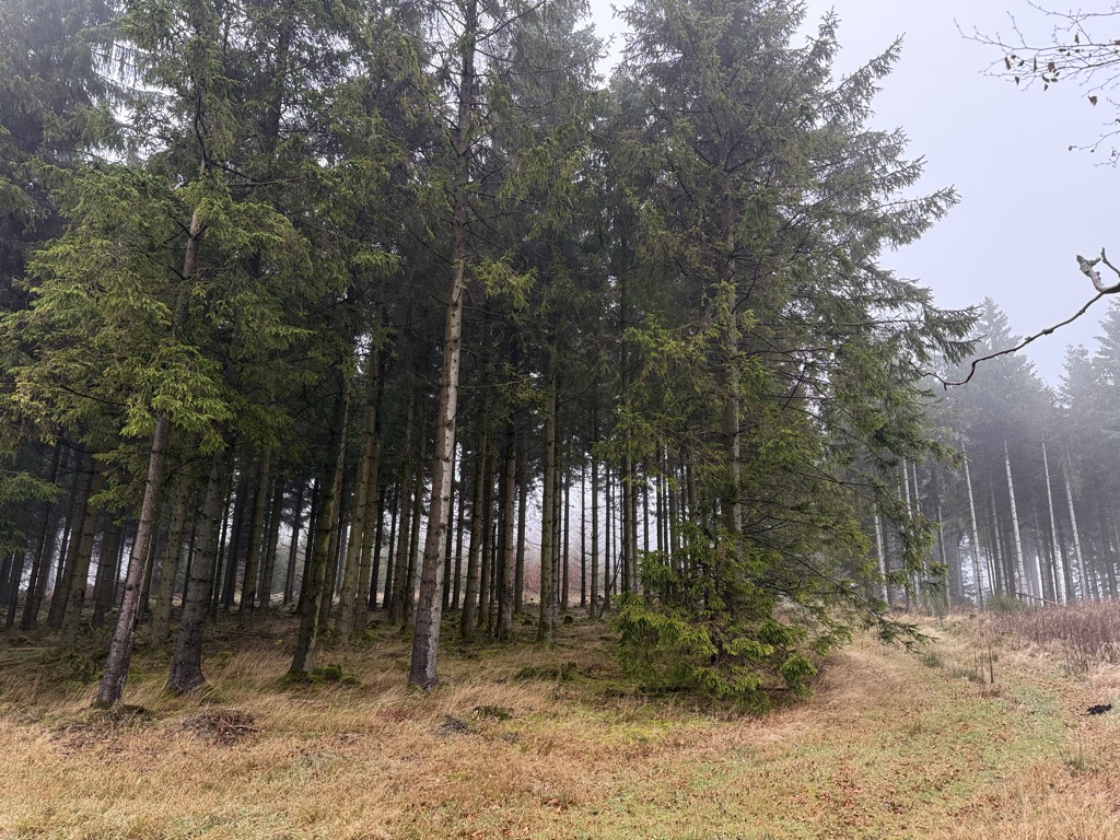 Nordhelle