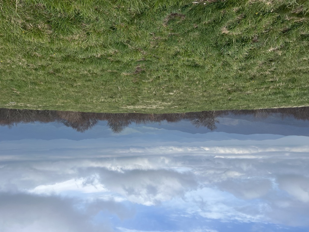 Huckleberry Knob