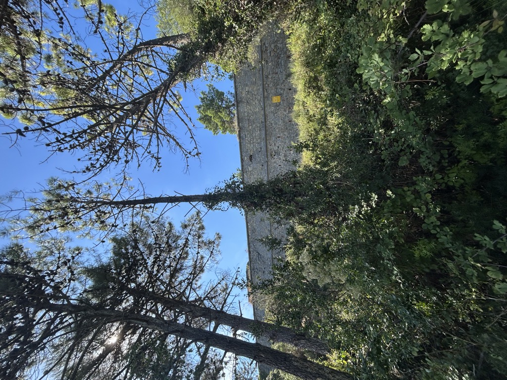 Monte Muzzerone