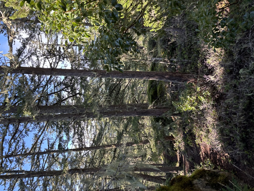 Castle Peak