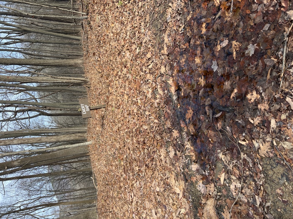 Emory Gap