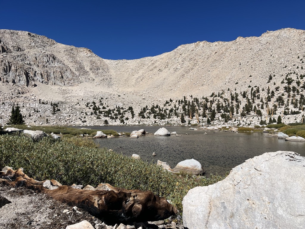 Chicken Spring Lake