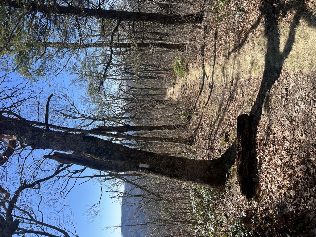 Unaka Mountains