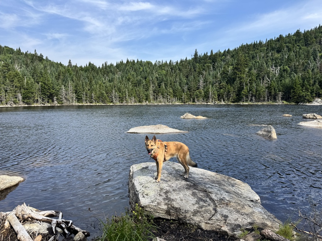 Cooper Kill Pond