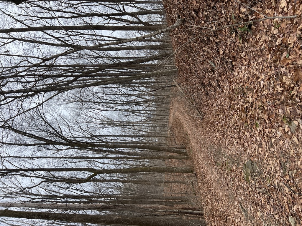 Panther Gap