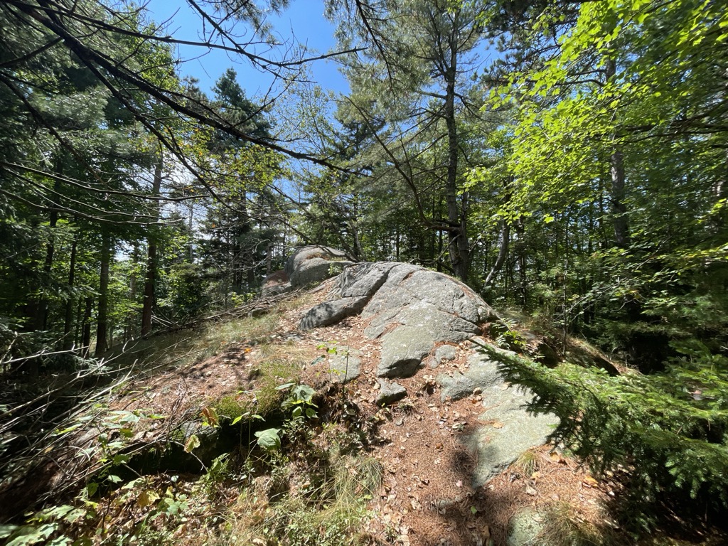 Huckleberry Mountain