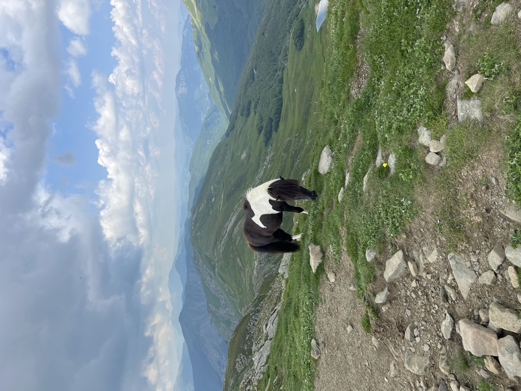 Monte Prado