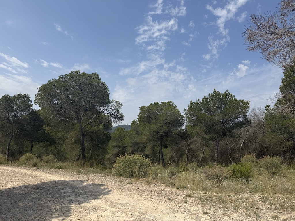 Sierra de la Cresta del Gallo
