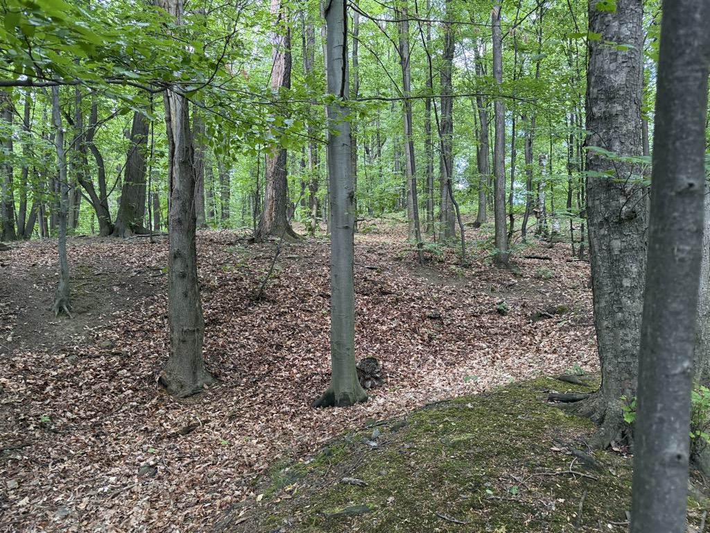 Czapka
