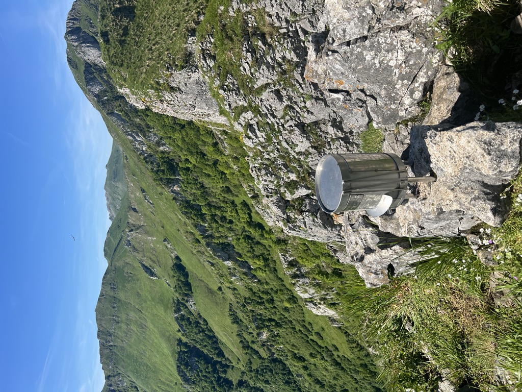 Balerdi