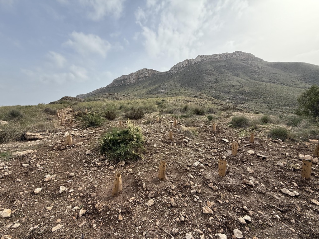 Photo №2 of Cocón de Cope