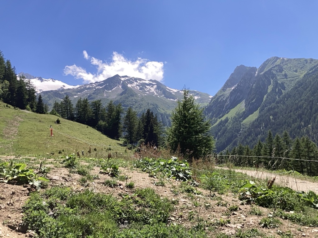 Photo №2 of Col de la Forclaz