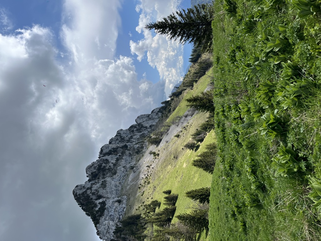 Photo №2 of Col des Frêtes