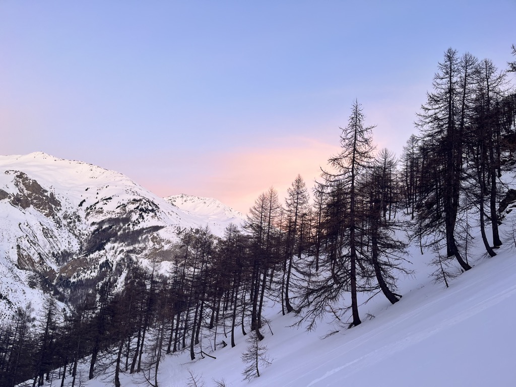 Sunset in the enchanted forest of Le Casset. Photo: Sergei Poljak