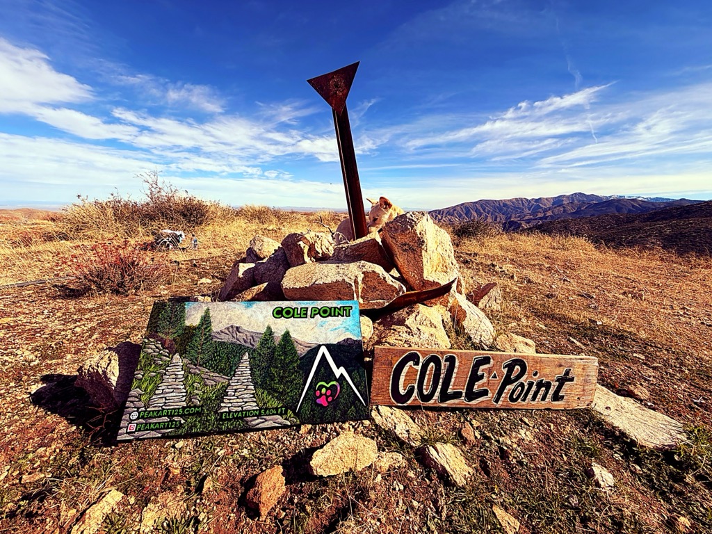 Photo №1 of Cole Point